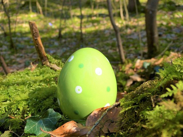 green egg on green moss