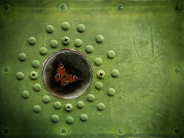 Armor-plated window behind which is a beautifuil red and yellow butterfly.