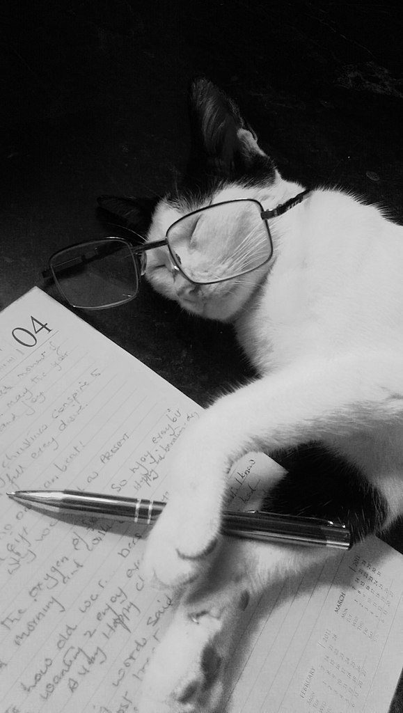 White cat with black ears demonstrating inner peace and abundance, having fallen asleep wearing a human-sized pair of glasses and "holding" a pen, lying on a page in someone's datebook