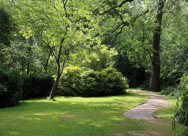 A green garden path, portraying the map to verdant abundance which is how I picture money.