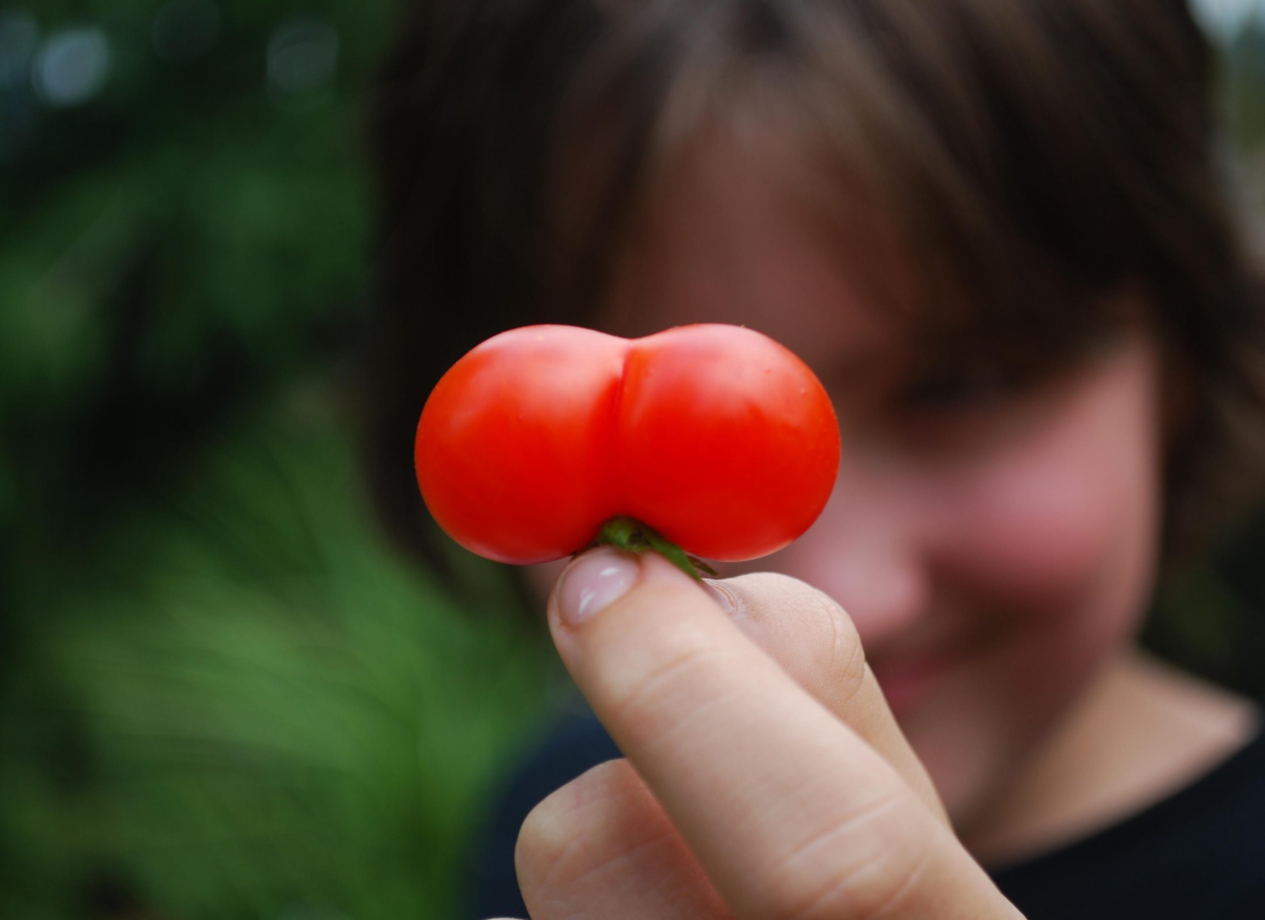 fingers holding up a tomato with an odd shape